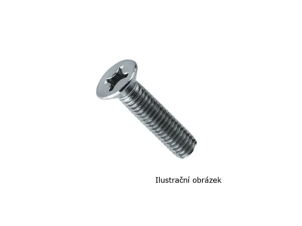 Rychlá expedice - Šroub M3 40mm DIN965-A2