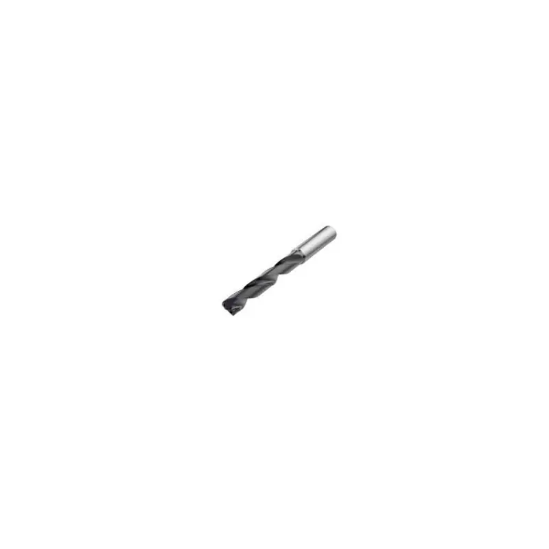 SD205A-1750-071-18R1-P Vrták monolitní Feedmax SD2xx | Slevy
