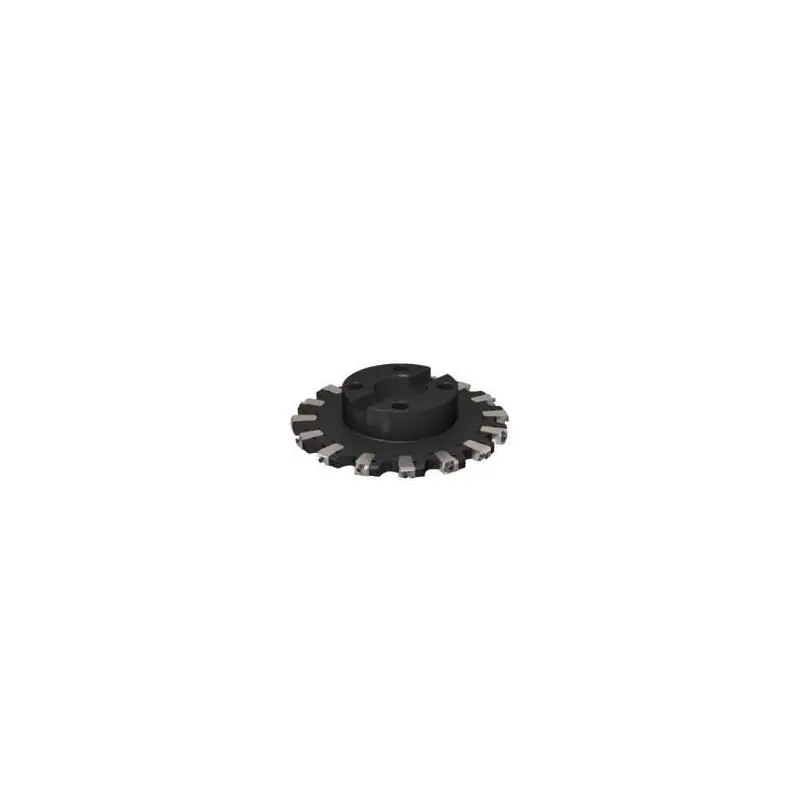 Objednejte dnes | R335.25-250.1317XL.60-8N Fréza (těleso) kotoučová 335.18