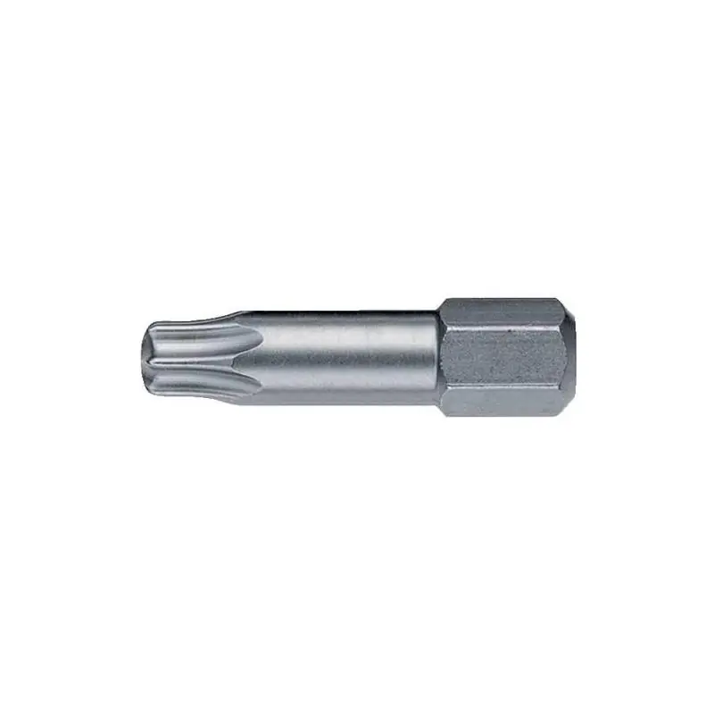 Bit 1/4" DIN 3126 C 6,3 T 7x 25 mm Torsion Format - Pouze dnes