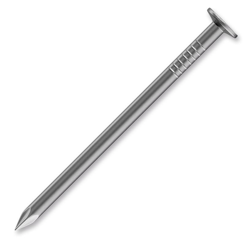 Jen po omezenou dobu | Hašpl