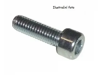 Šroub metrický M8x45 DIN 912 8,8 ZN - Bezpečný nákup