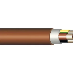 Expresní doručení - Kabel 1-CXKH-V-O 1x120 P90-R B2s1d0