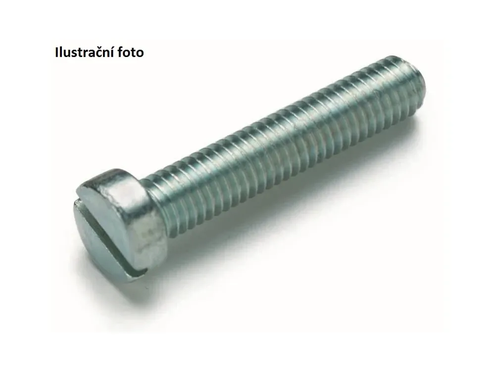 Válcový šroub M5/40 mm (100 ks) | Blesková nabídka