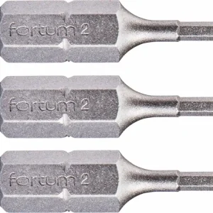 FORTUM Bit imbus sada 3ks, H 2x25mm, S2 4741502 | Přímo z továrny