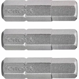 Ušetřete nyní - FORTUM Bit imbus sada 3ks, H 6x25mm, S2 4741508